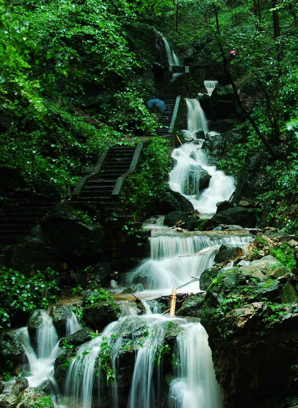 dsc_5910.jpg