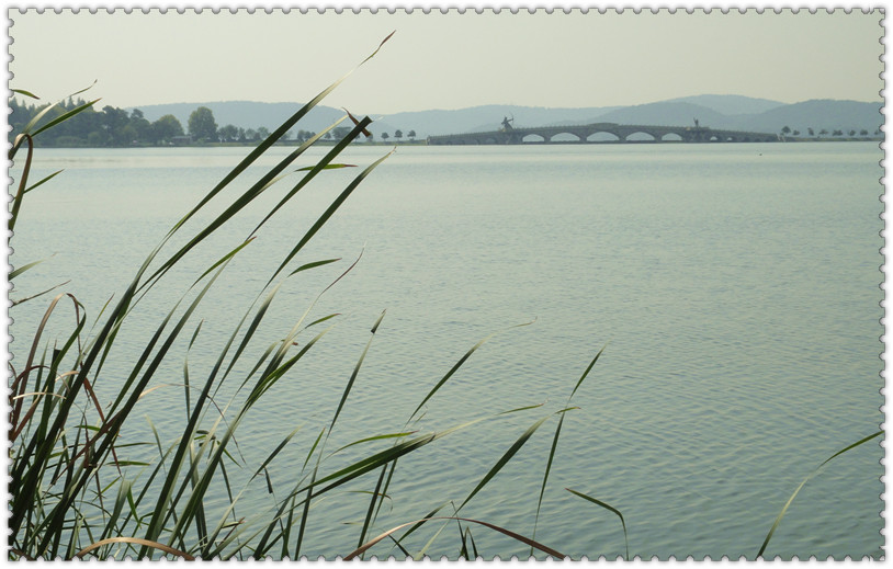 dsc03323_.jpg