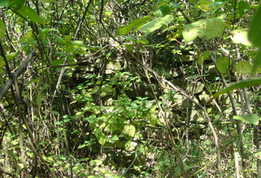 dsc08422_.jpg