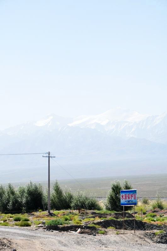 dsc_6080.jpg