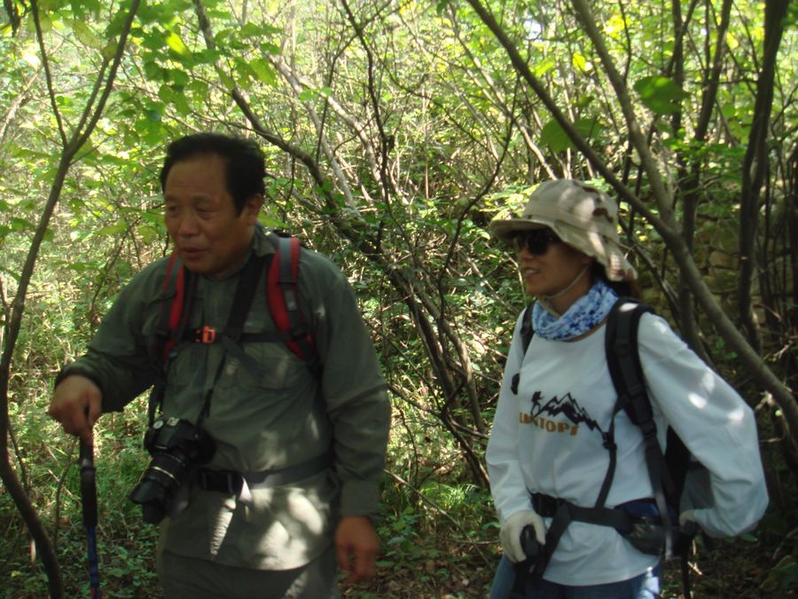 dsc00719.jpg