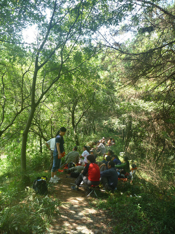 p1120819__.jpg