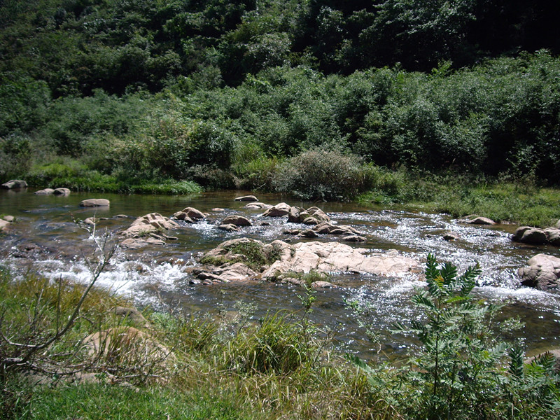 imgp4177_.jpg