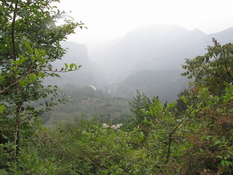 52_183033_4aa00195e9e4bec.jpg