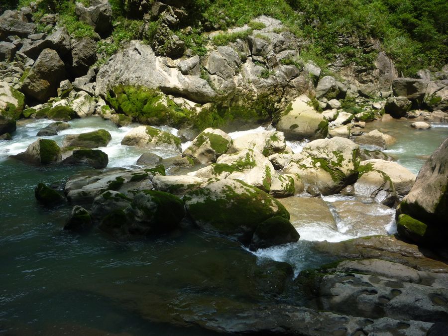 p1120687.jpg