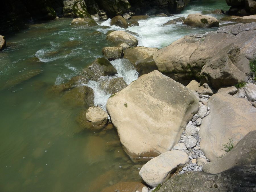 p1120713.jpg