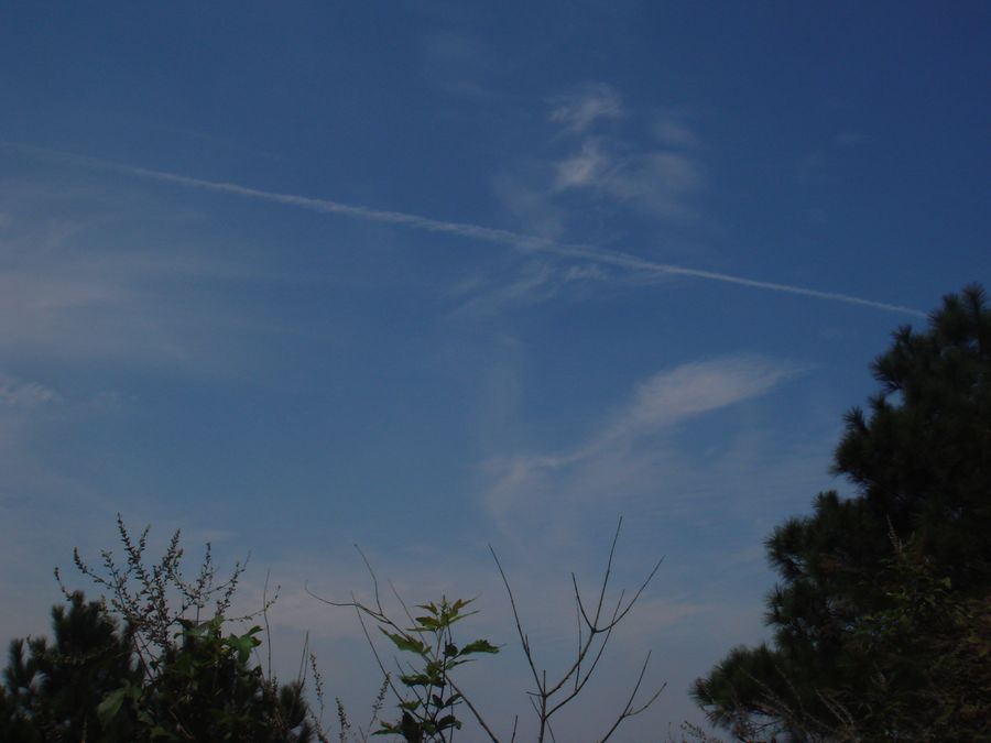 dsc00722.jpg