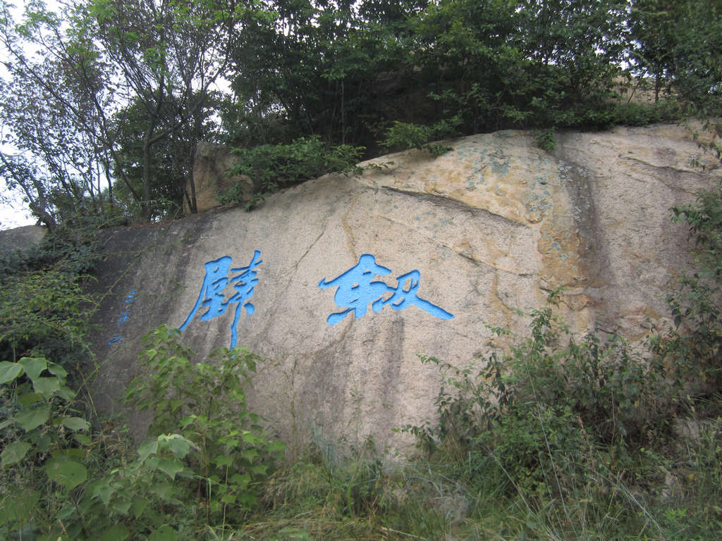 img_0810.jpg