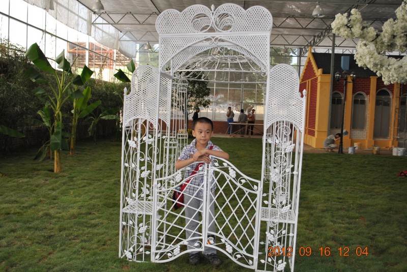 conew_dsc_0130.jpg