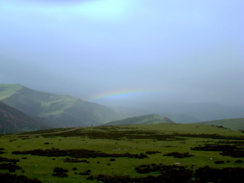 dsc03592a.jpg