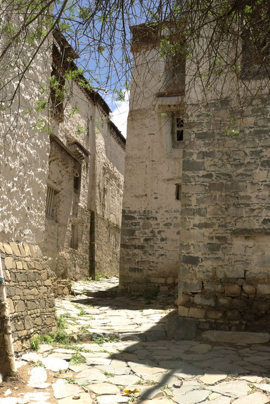 ʲײ1.jpg