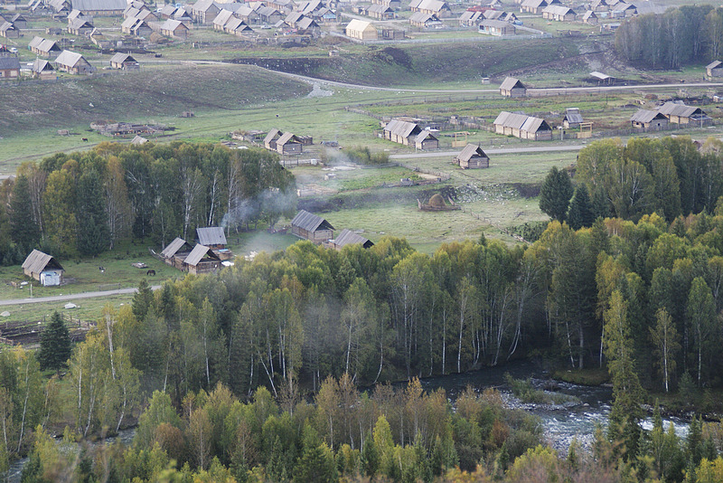 _dsc0041.jpg