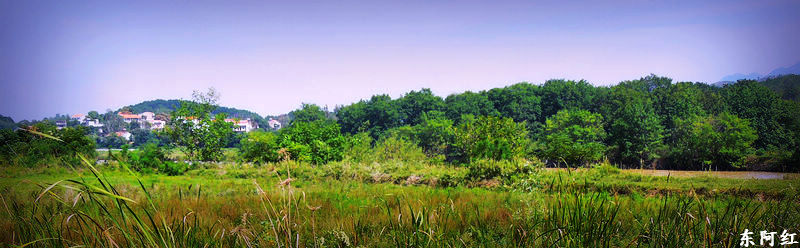 dscn2223.jpg