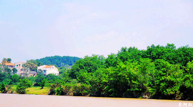 dscn2232.jpg