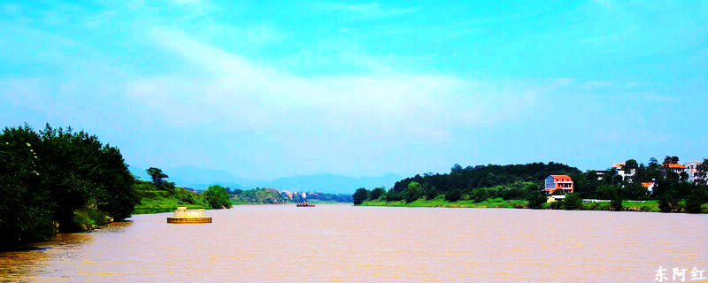 dscn2233.jpg