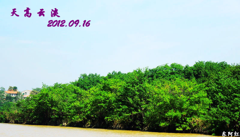 dscn2235.jpg