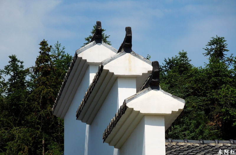 dscn2260.jpg