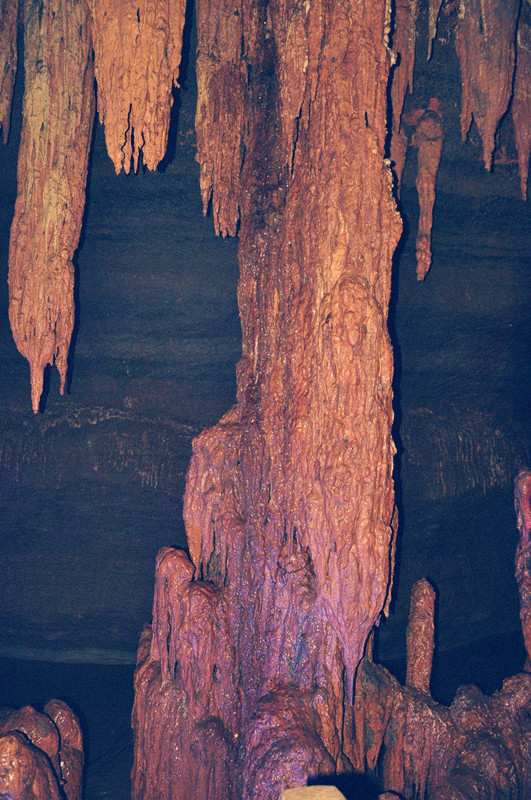 dsc_0751_.jpg