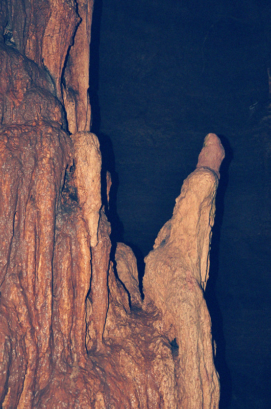 dsc_0747_.jpg