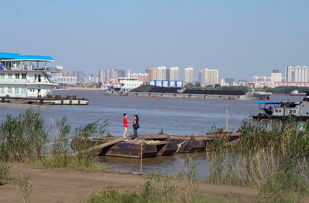 dsc02812.jpg