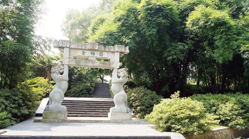 dsc00826.jpg