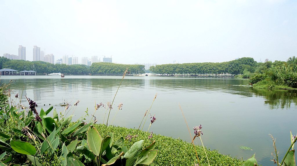 dsc00842.jpg