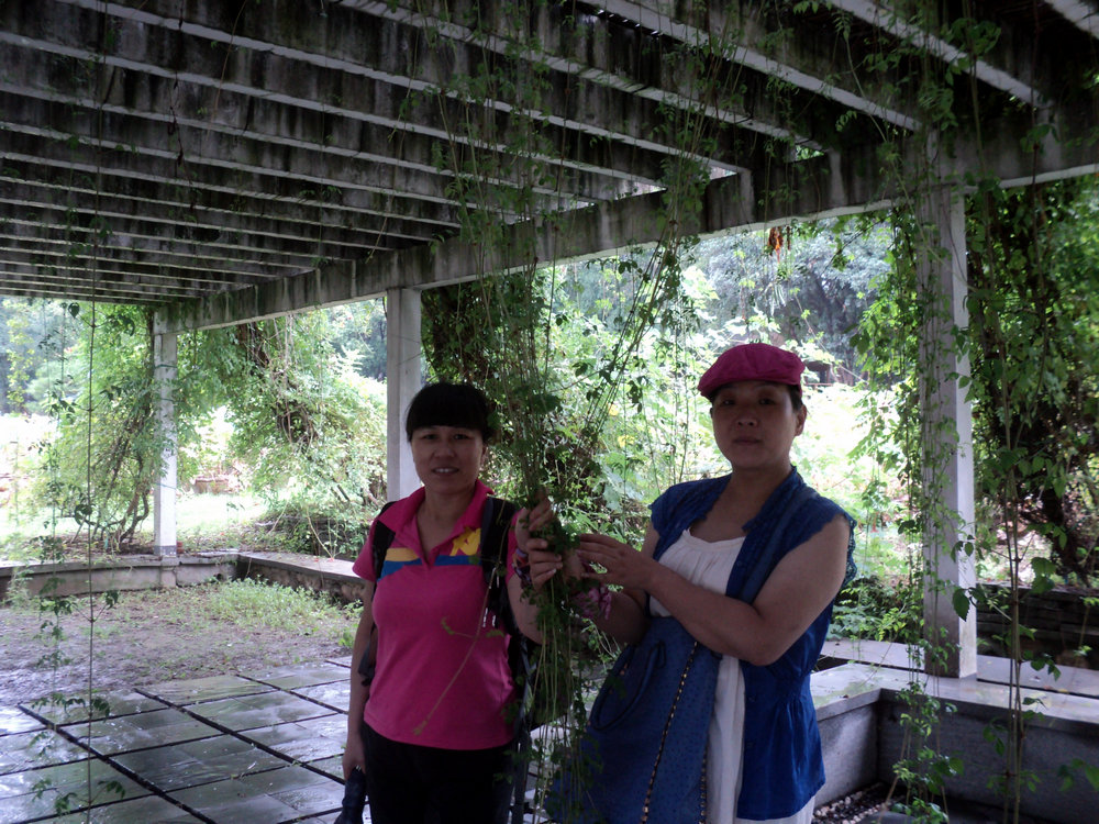 dsc03847_.jpg