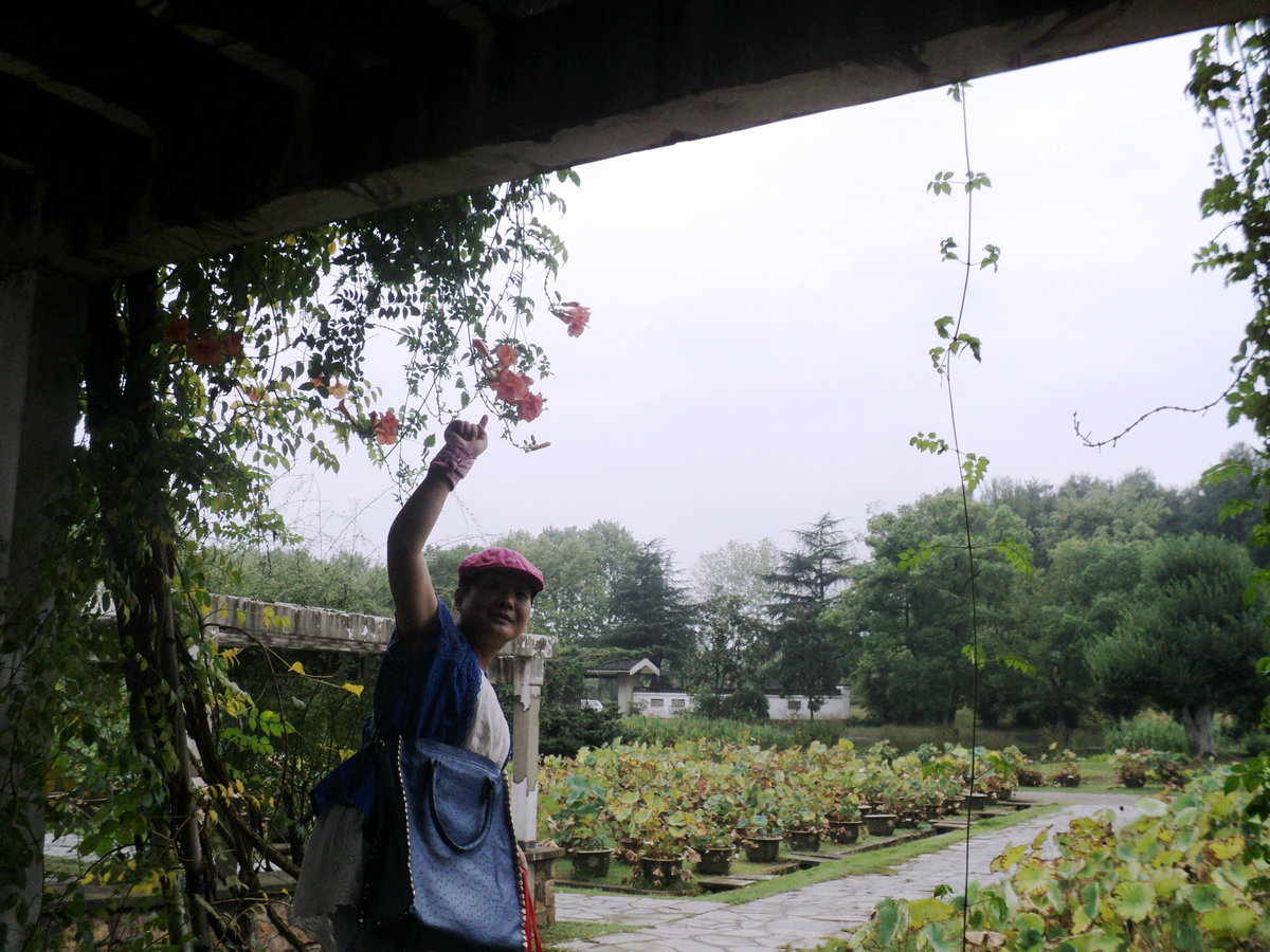 dsc03849_.jpg