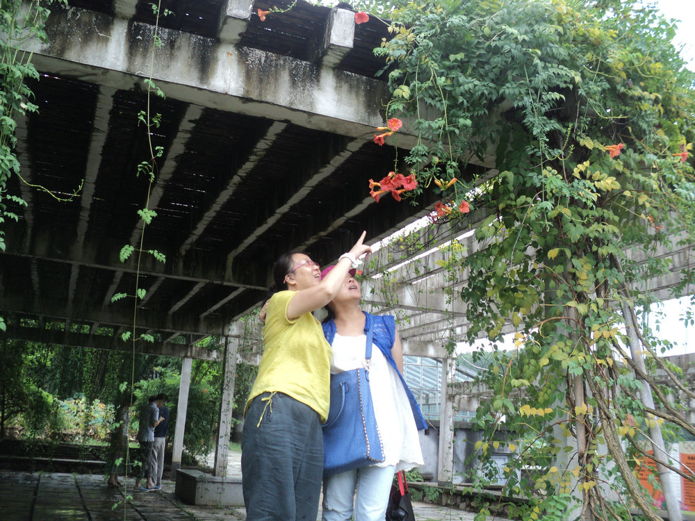 dsc03850_.jpg