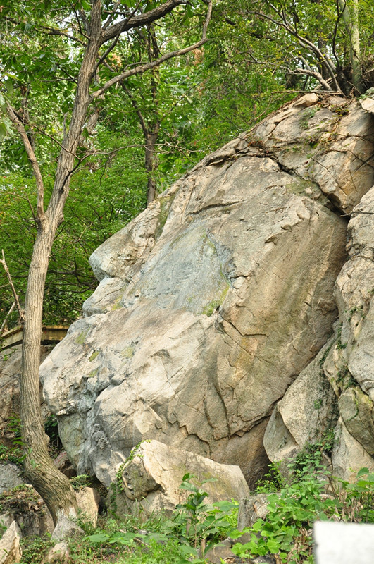 dsc_0928_.jpg
