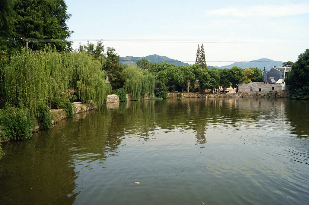 dsc03142.jpg