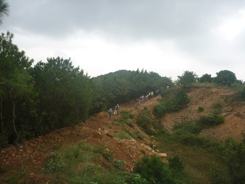 p1120830_.jpg