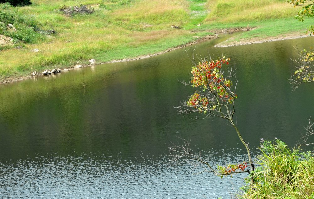 dsc_0379.jpg