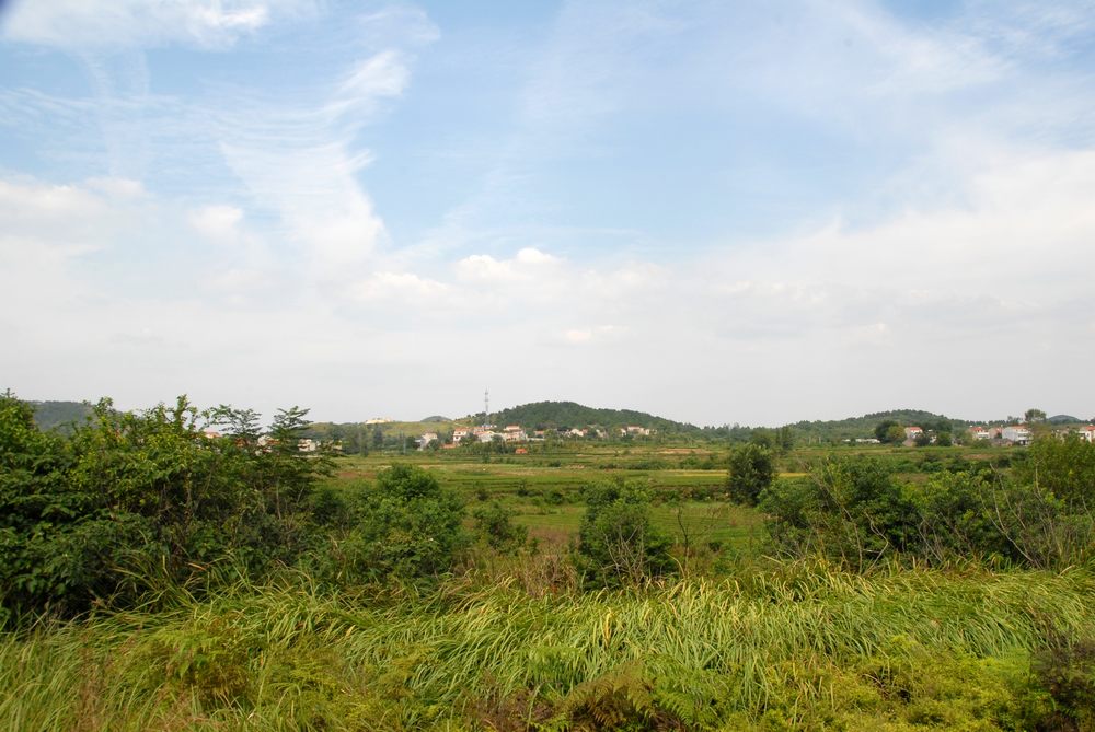 dsc_0399.jpg
