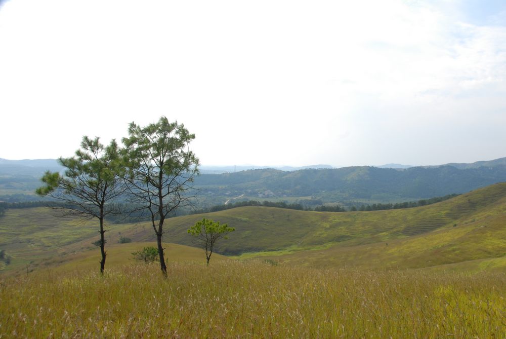 dsc_0433.jpg