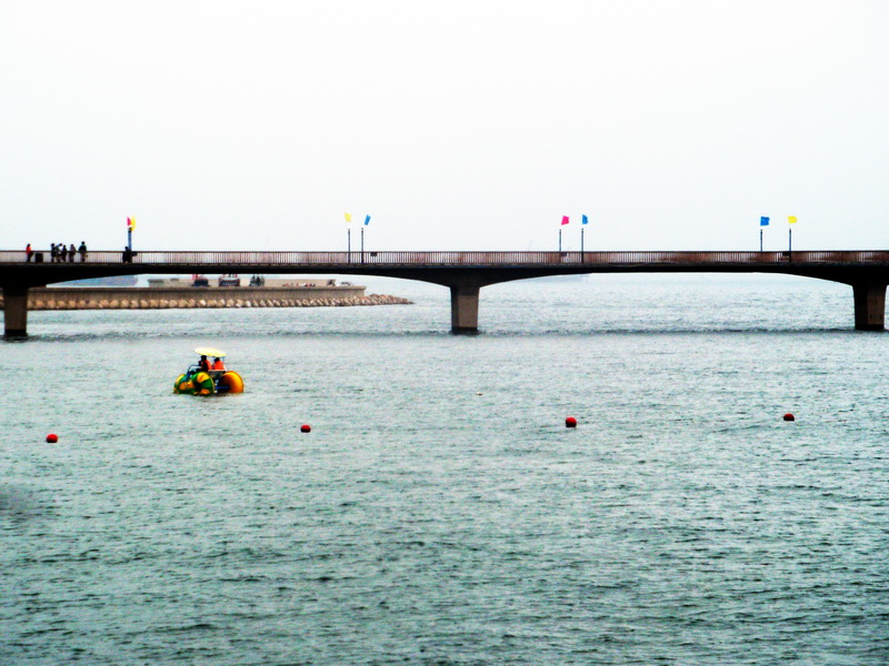 dscf0290.jpg