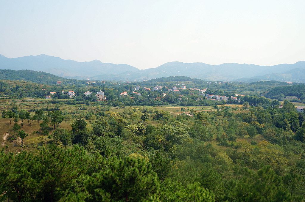 dsc03562.jpg