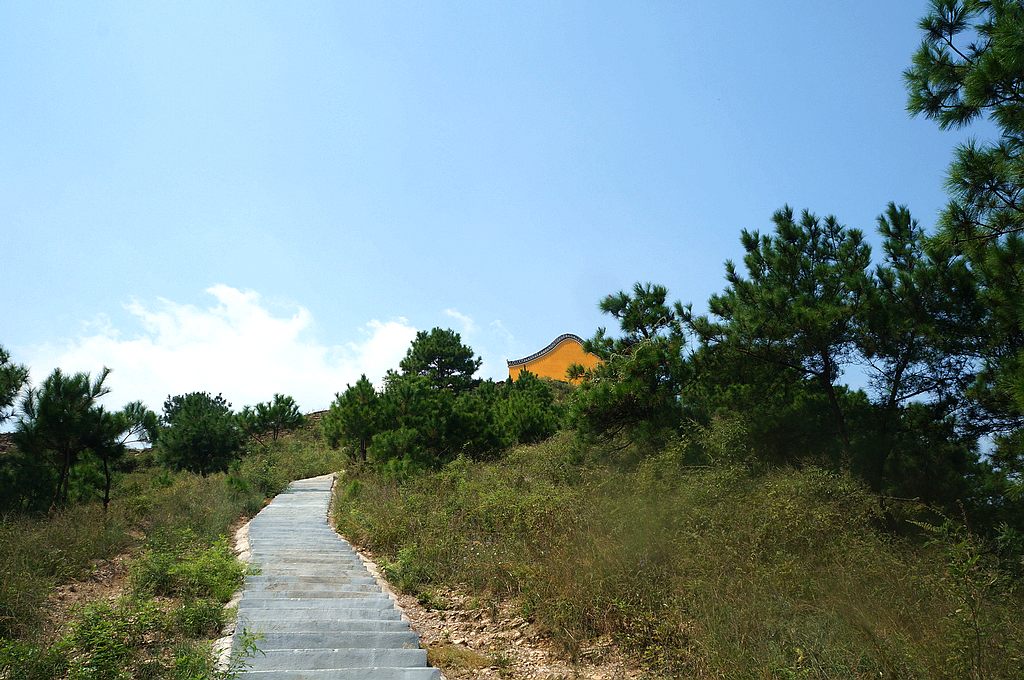 dsc03572.jpg
