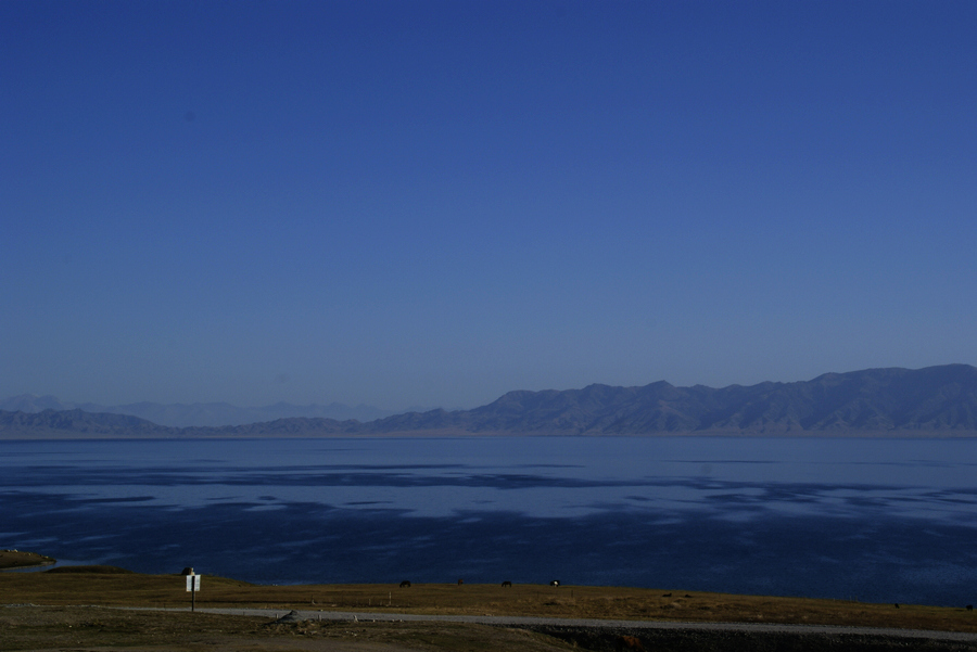 _dsc0075.jpg