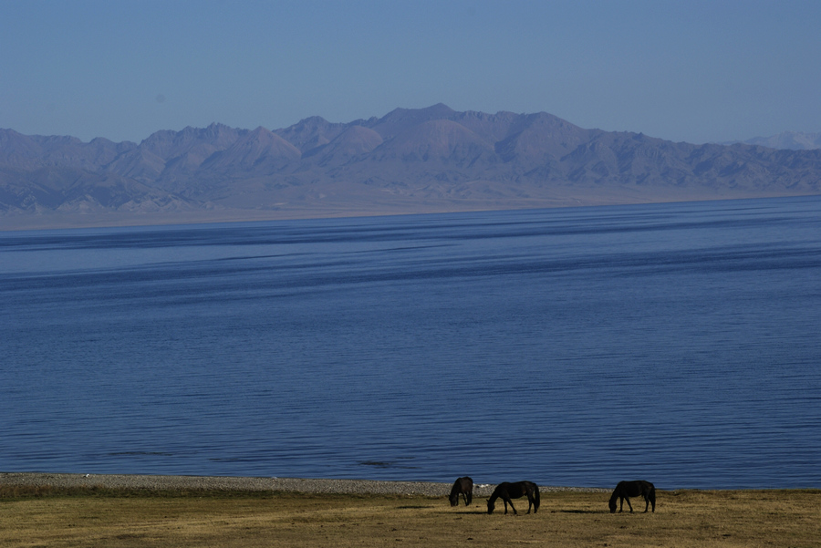 _dsc0082.jpg