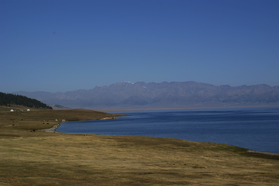 _dsc0084.jpg