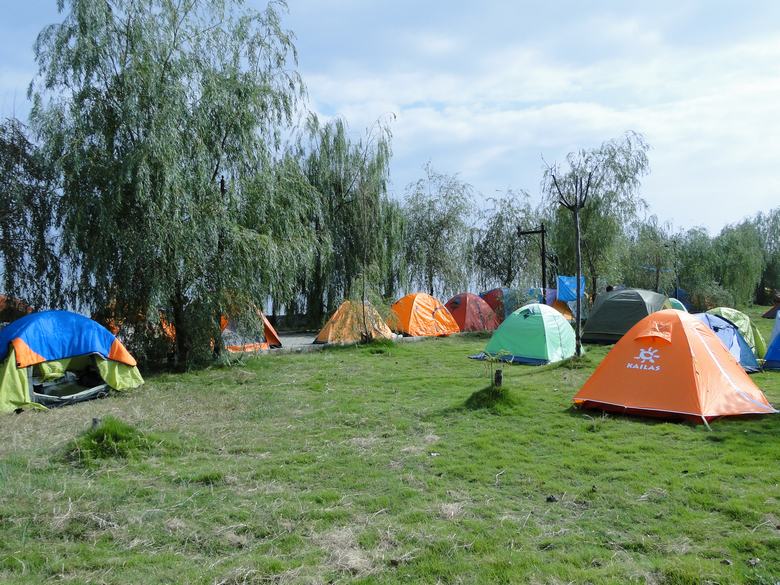 neo_img_dsc02581.jpg