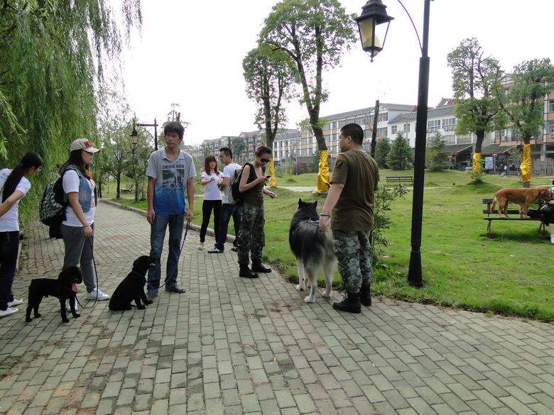 neo_img_dsc02627.jpg