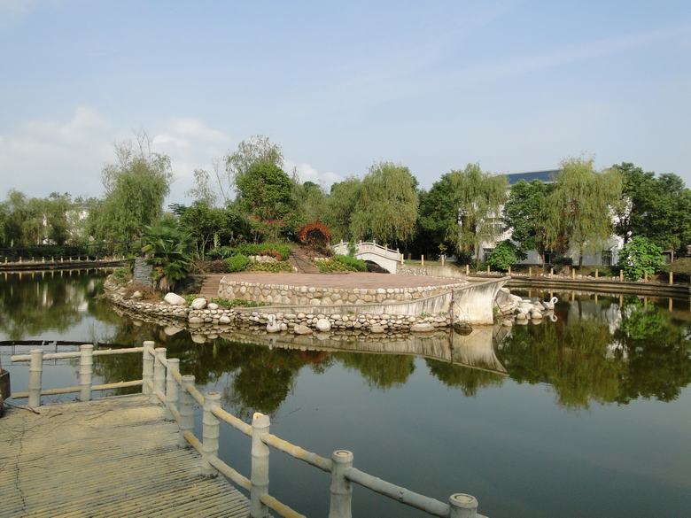 neo_img_dsc02657.jpg