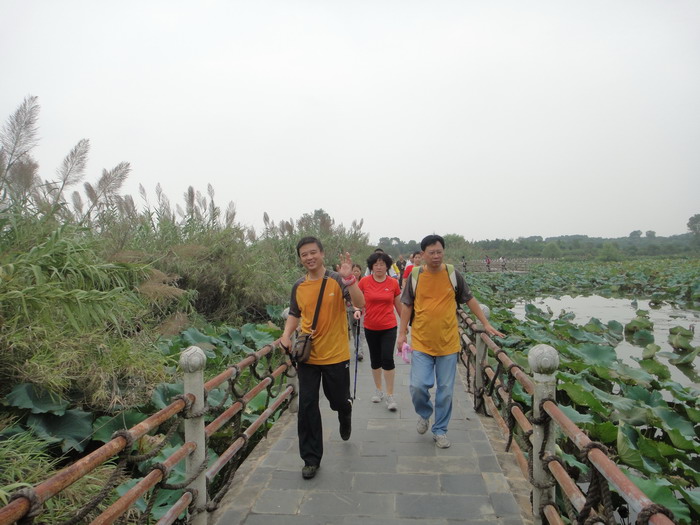 dsc04293.jpg