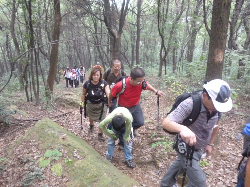 conew_p1070217.jpg