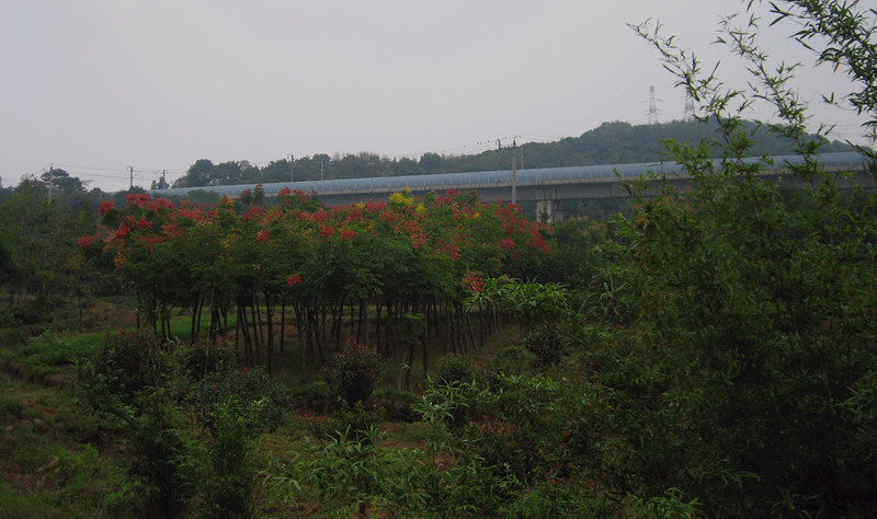 img_6469_1.jpg