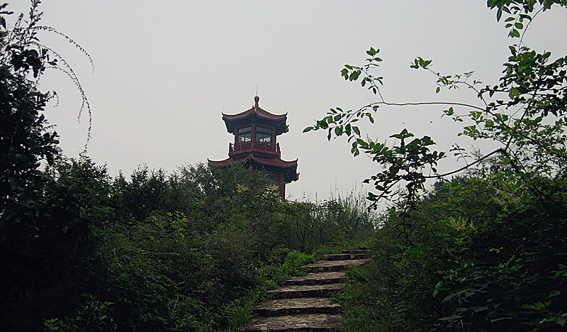 img_6462_1.jpg