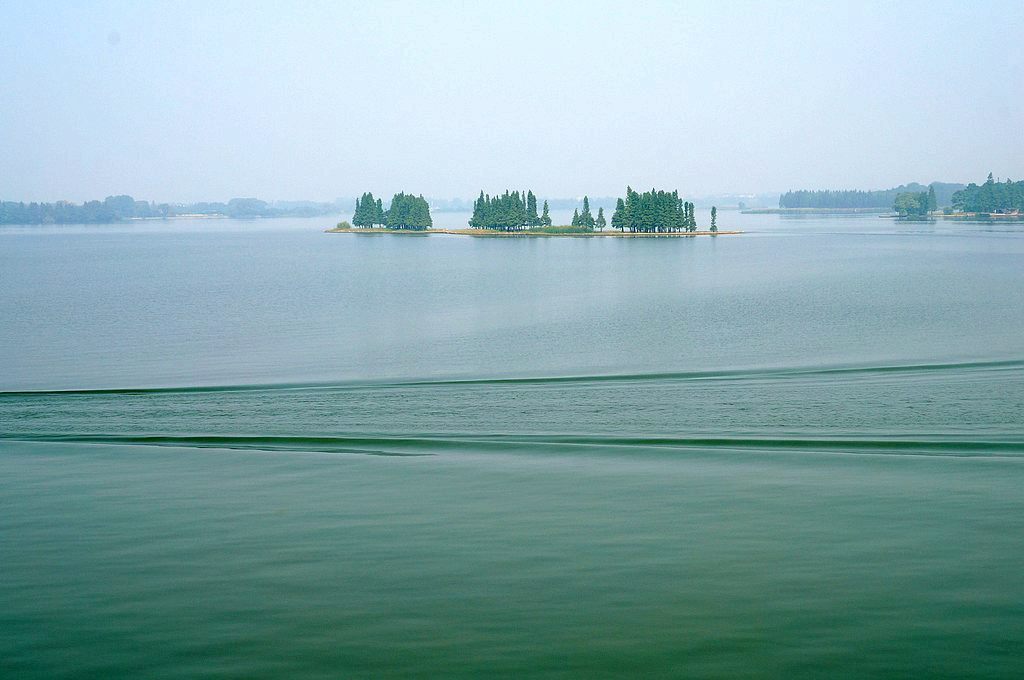 dsc03682.jpg