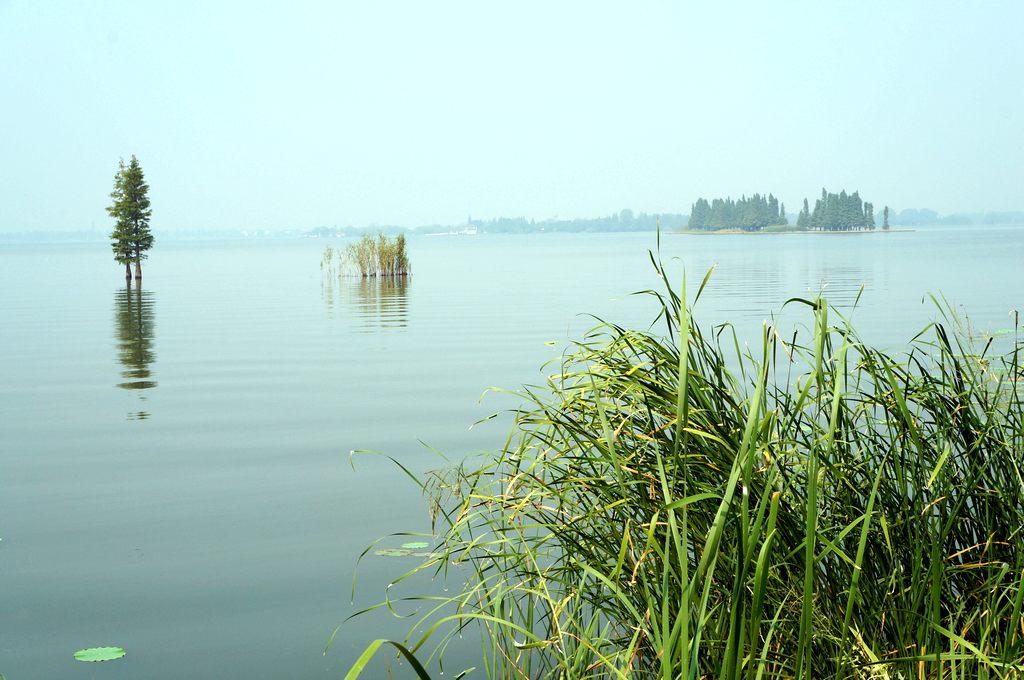 dsc03703.jpg